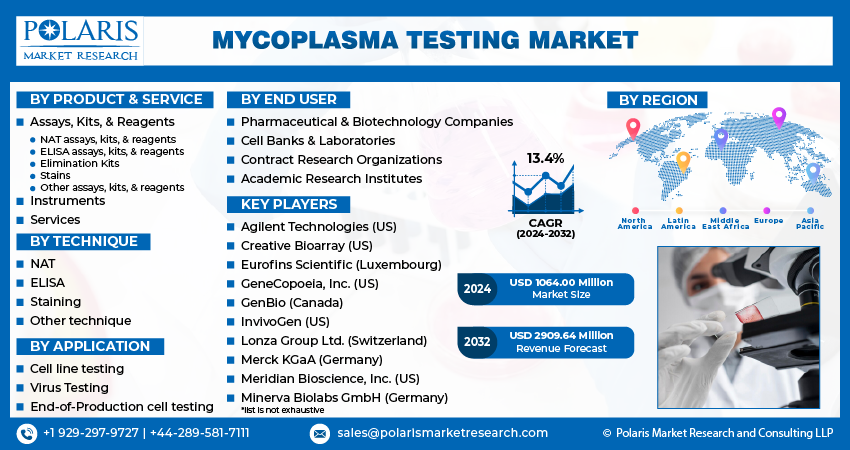 Mycoplasma Testing Market size
